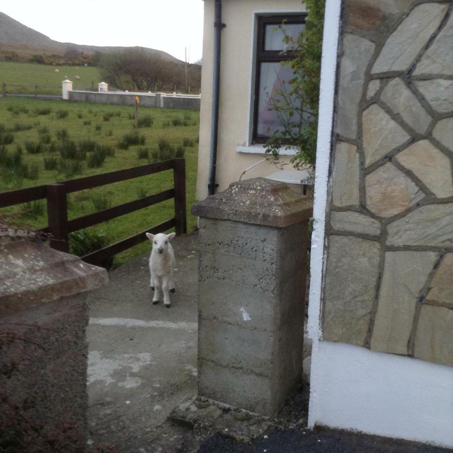 Sea View Chalet Kilsallagh Westport Co Mayo Exterior photo